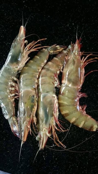 Photos of Saman fish restaurant