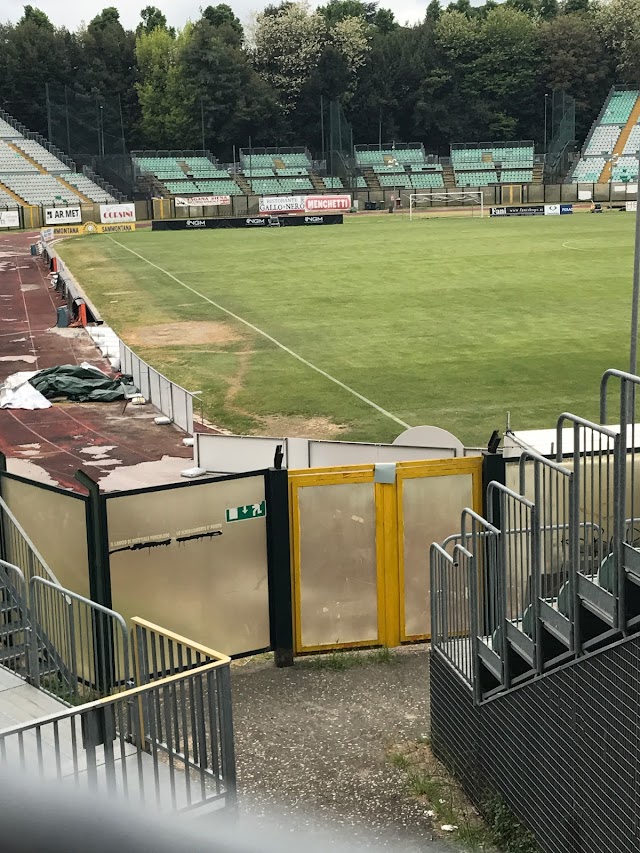 Stadium "Artemio Franchi"