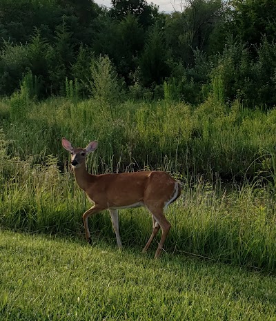 Lake Manawa State Park