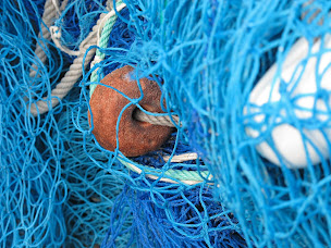 Photo n°1 de Poissonnerie Paon à Herbignac (Magasin)