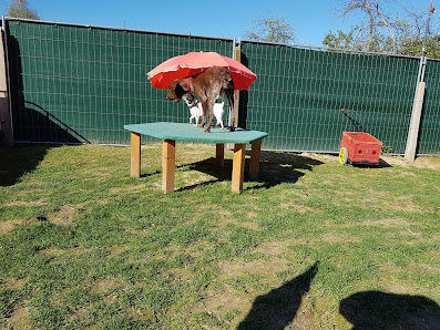 Tierservice Eschborn Leonhard-Heißwolf-Straße 6, 65936 Frankfurt am Main