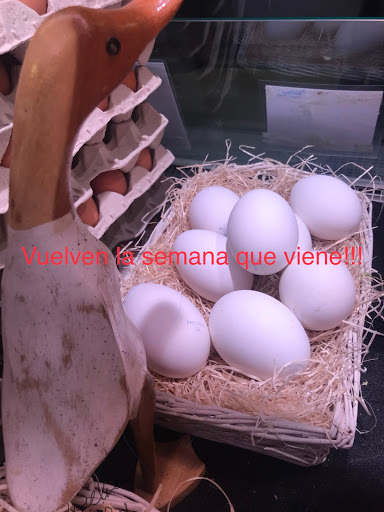 Huevería Tomás y Luci - Thumbnail