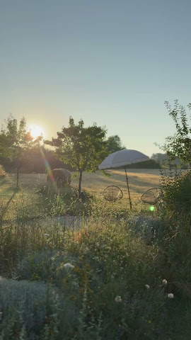 Bel Estiu, Guest house by null