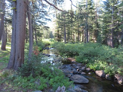 Woods Lake Campground