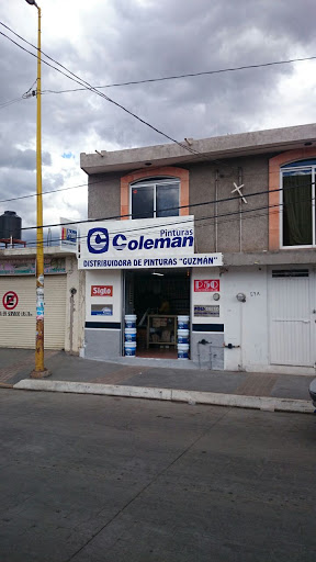 DISTRIBUIDORA DE PINTURAS GUZMÁN