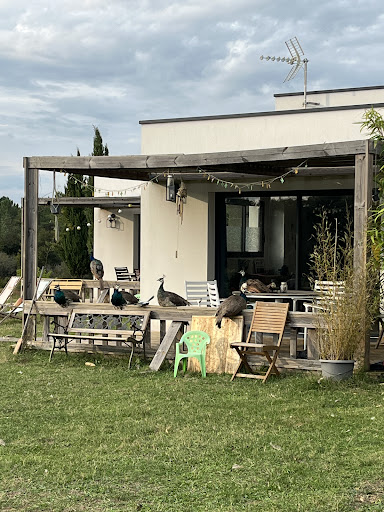 Photo de Auberge de Cercoux à Cercoux (17270)