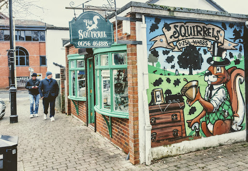 The Squirrels - Visual