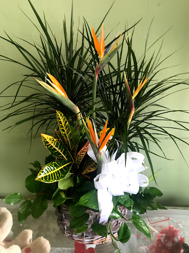 Elva's Flower Shop Gallery - United States