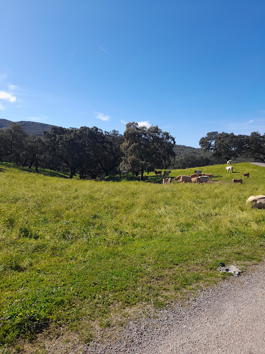 Sendero de Belén - Thumbnail