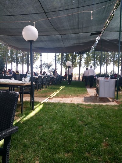 Photos of Gedik Restaurant