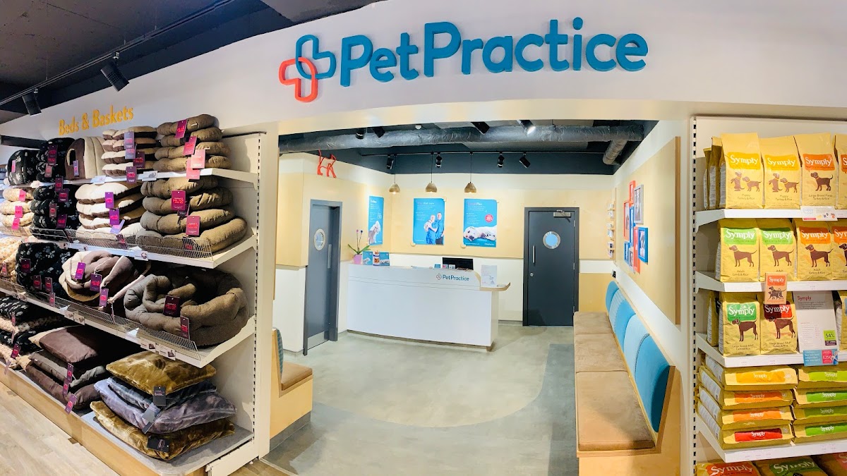 Pets Corner Romsey, Your Best Reviewed Local Pet Shop