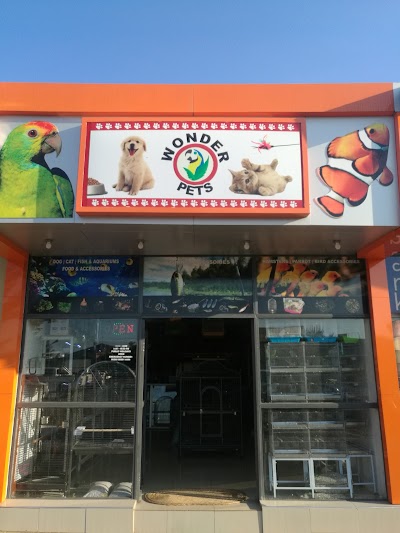 Photos of WONDER PETS