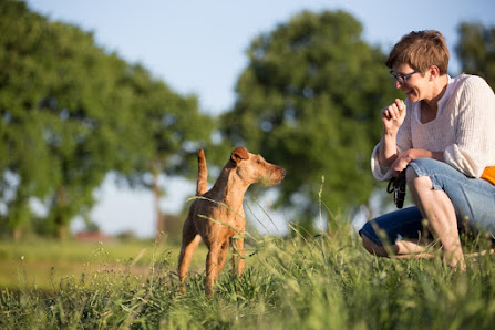 Leine los! Hundeschule & Shop -Angela Wahner - Bornheim