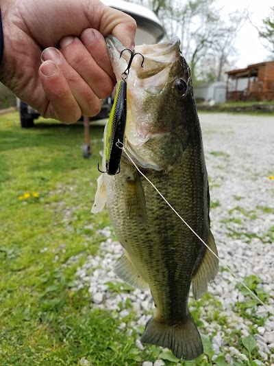 Cold Creek Trout Camp