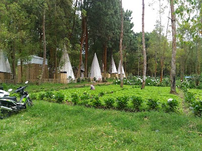 Photos of Kampung Indian