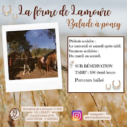 Photo n°23 de Ferme de Lamoure (balade à poney) à Villebazy (Service de tours de poneys)