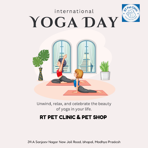 As we celebrate International Day of Yoga, we're reminded of the importance of balance and harmon… post image
