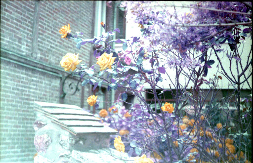 Studio Allix - Thumbnail