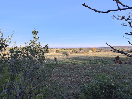 Panorama sulla Masseria Lopez - Thumbnail