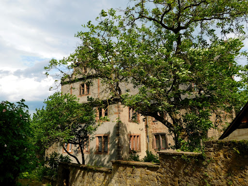 Marburg University Religious Studies Collection Gallery - Germany
