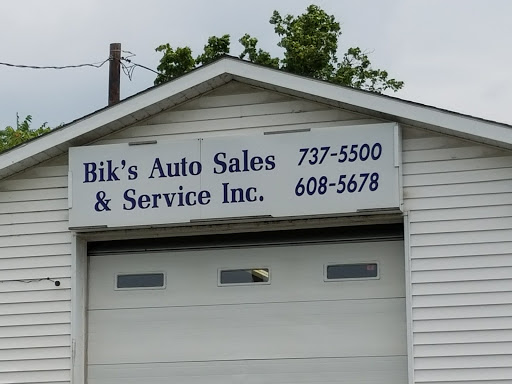 Bik's Auto Sales Inc - United States