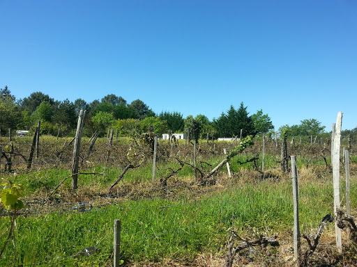 The Grand Pey Camping du Sabotier - Thumbnail