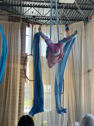 Skyfall Aerial Arts Studio, LLC - Thumbnail