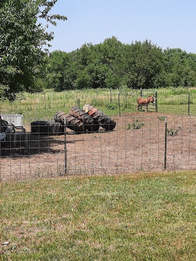 Four Points Ranch and Petting Zoo