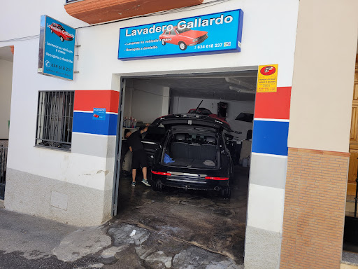 Lavadero gallardo - Thumbnail