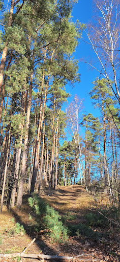 Tor zur Glücksburger Heide - Thumbnail