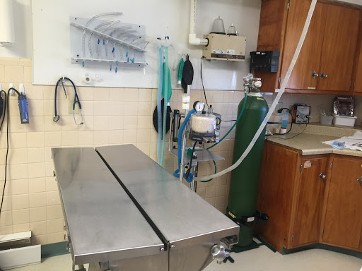 Hawthorne Animal Hospital- Troy location - Thumbnail