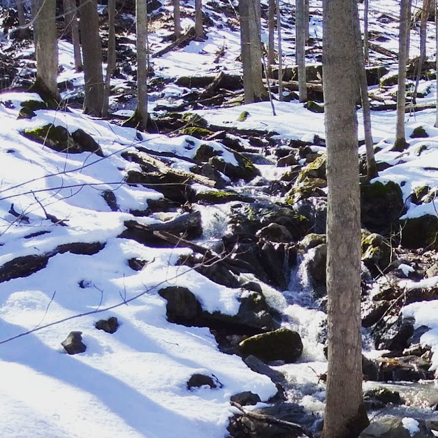 Clark Reservation State Park