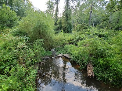 Pine Branch Trail