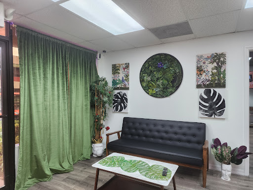 The Jungle Salon Gallery - United States