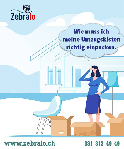 zebralo - Visual