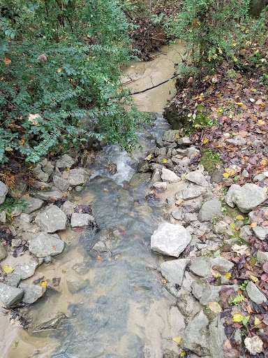 Reeves Creek Trail - Thumbnail