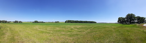 Wiesenlandschaft an der alten Recknitz