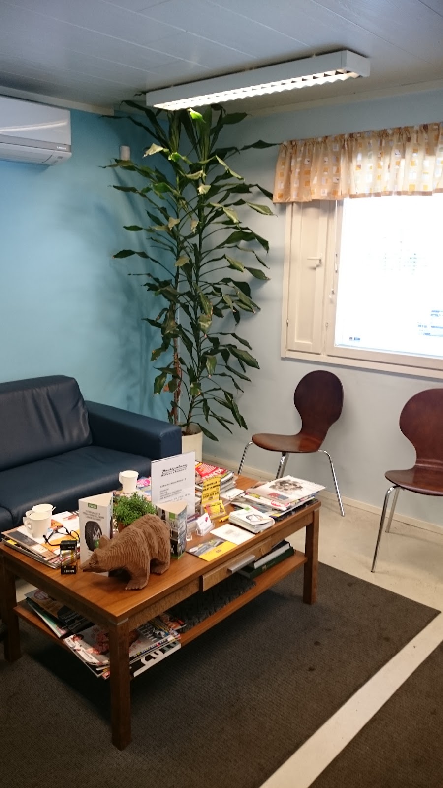 Хаукипудас финляндия