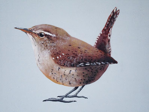 Birds-Blooms - Thumbnail