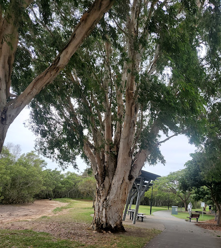 Esplanade S Park - Thumbnail