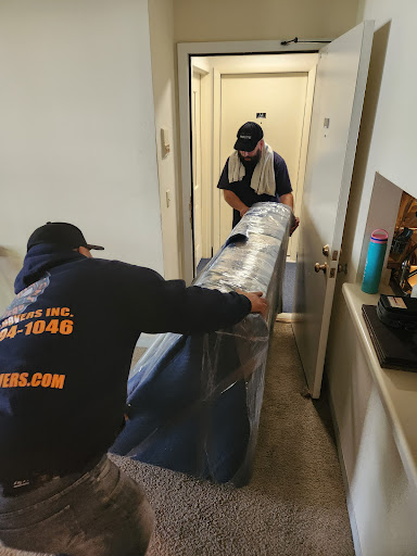 Alamo Movers - Visual