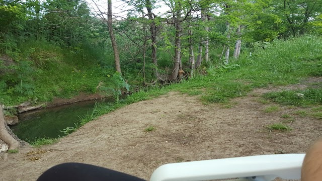 The waterfall