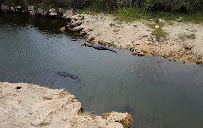Photos of Big Cypress National Preserve