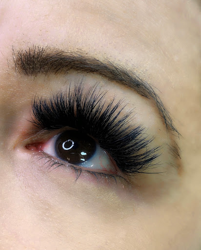 B'Lashed, LLC - Visual