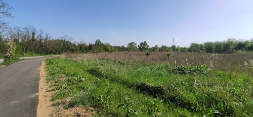 Forêt Le Machet - Thumbnail