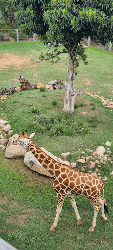 Sydney Zoo Foundation - Thumbnail