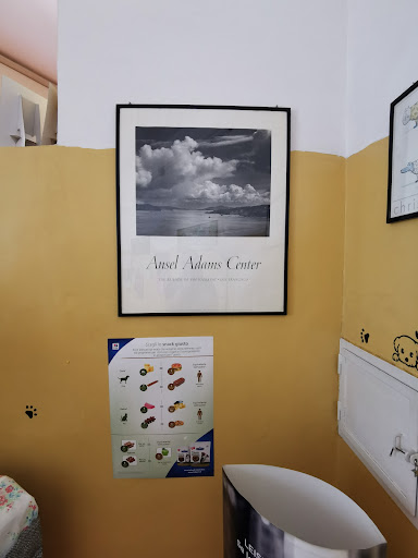 Clivet Veterinary Clinic Vomero - Thumbnail