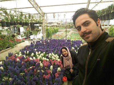 Photos of دریا ویلا