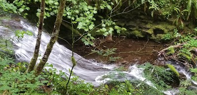 Parker Creek Falls