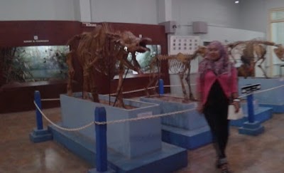 Photos of Gedung Widyasatwaloka